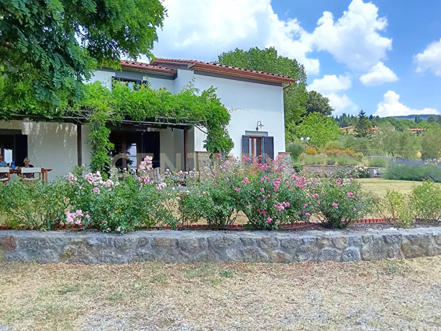 Immagine 49 di Villa in vendita  in Via Case Raspini 2 a Santa Fiora