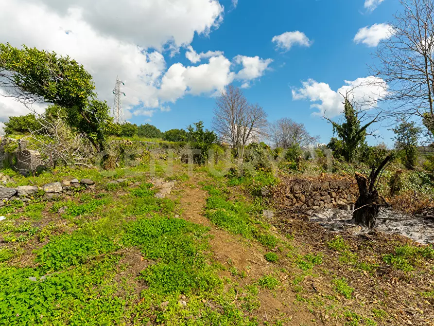 Immagine 5 di Terreno agricolo in vendita  in via giuseppe zinghirino 1 a Giarre