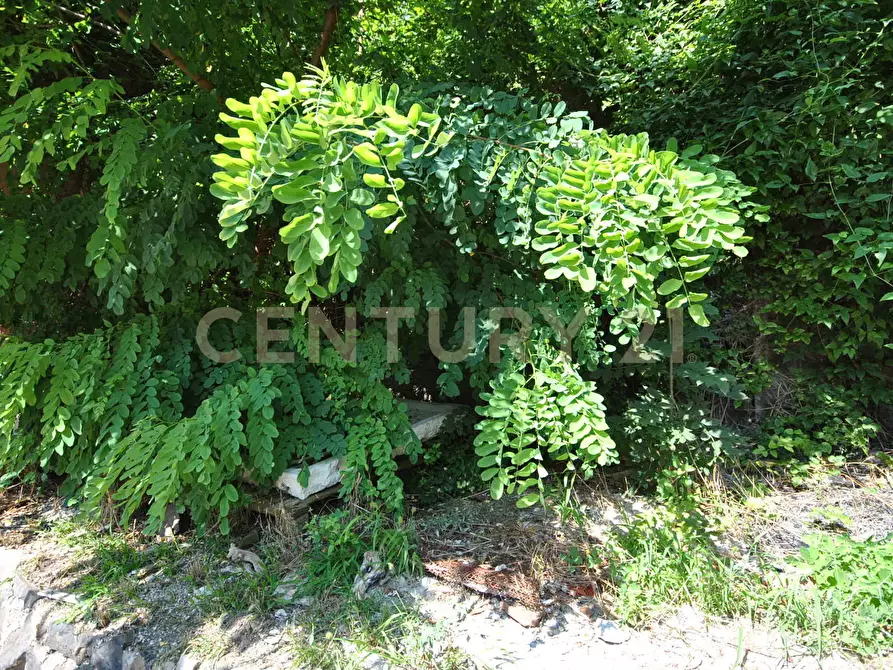 Immagine 10 di Rustico / casale in vendita  in via Val di Qua a Altissimo