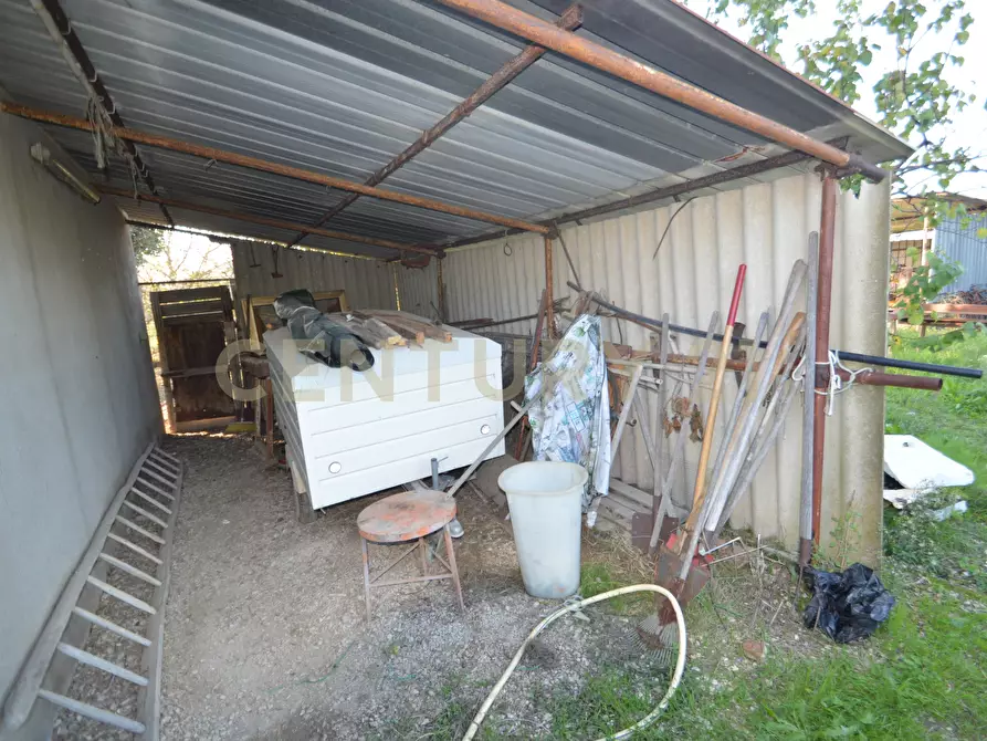 Immagine 33 di Terreno agricolo in vendita  in Strada del Querciolo 125 a Grosseto