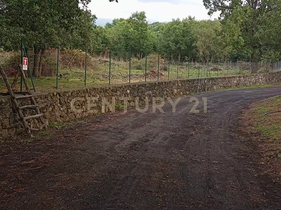 Immagine 6 di Terreno agricolo in vendita  in contrada porcheria SNC a Maletto