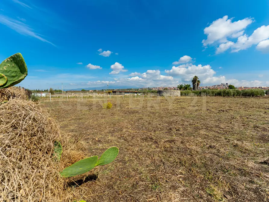 Immagine 12 di Terreno agricolo in vendita  in Via Margarone 5 a Motta Sant'anastasia