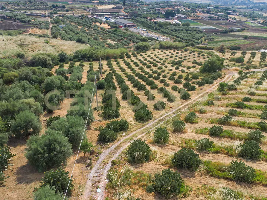 Immagine 19 di Terreno agricolo in vendita  in Via San Leo a Adrano