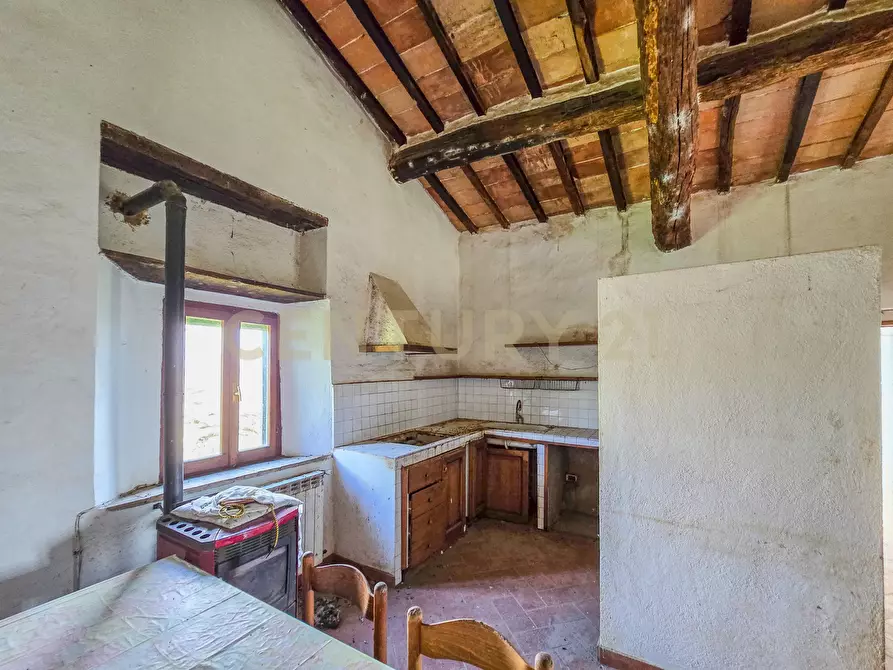 Immagine 20 di Rustico / casale in vendita  in Vial podere nuovo snc a Civitella Paganico
