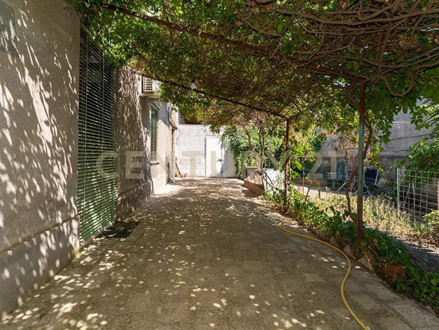 Immagine 5 di Casa indipendente in vendita  in Via Roma 66 a Camporotondo Etneo