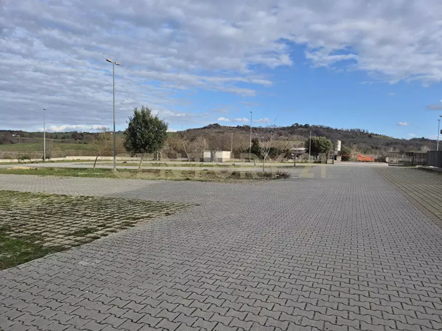 Immagine 19 di Locale commerciale in vendita  in Cerro Sughero a Campagnatico