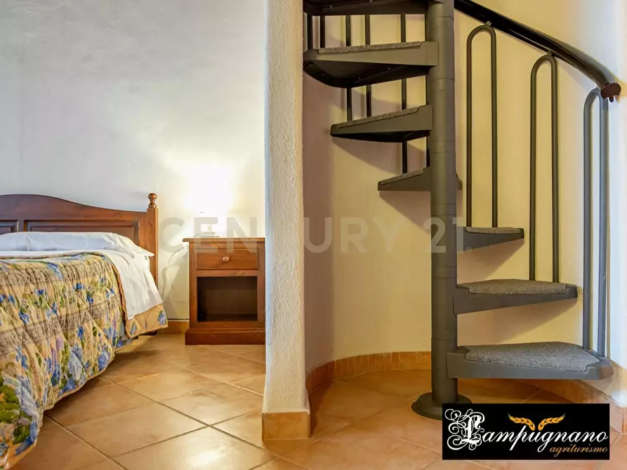 Immagine 33 di Rustico / casale in vendita  in agriturismo lampugnano 47 a Civitella Paganico