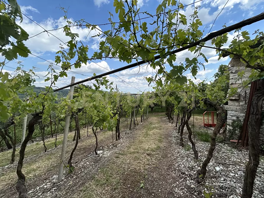 Immagine 18 di Rustico / casale in vendita  in Via Postuman a Mezzane Di Sotto