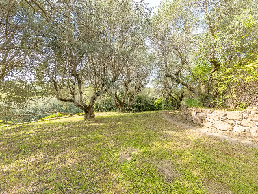 Immagine 44 di Casa indipendente in vendita  in Via di Grotte Maria 67 a Frascati