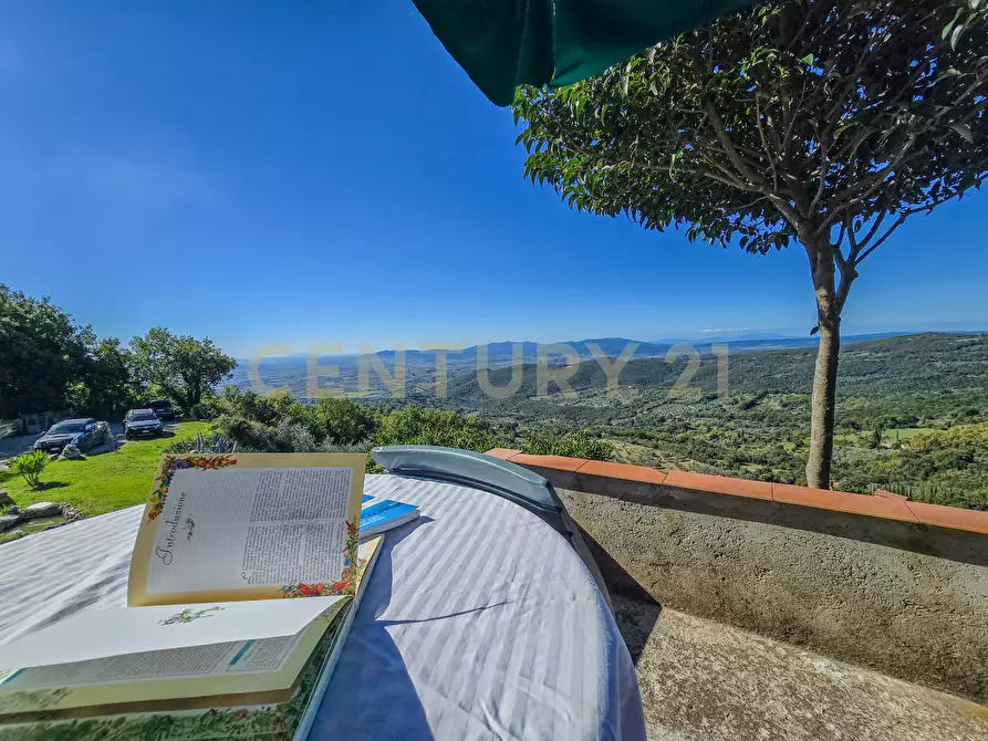 Immagine 34 di Villa in vendita  in località le coste a Roccastrada