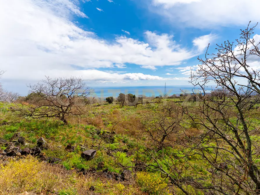 Immagine 40 di Villa in vendita  in Via Nocille 55 a Mascali