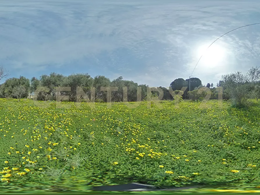 Immagine 41 di Terreno agricolo in vendita  in Contrada Vaccarizzo a Catania