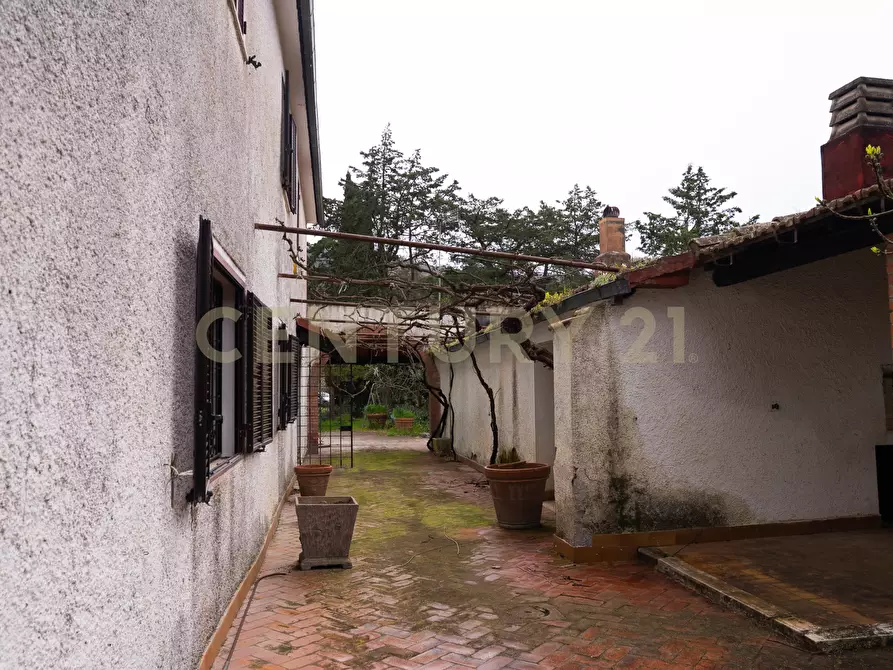 Immagine 34 di Rustico / casale in vendita  in sasso d'ombrone a Cinigiano