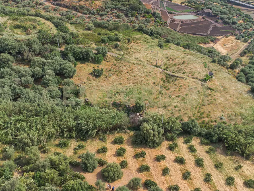 Immagine 30 di Terreno agricolo in vendita  in Via San Leo a Adrano