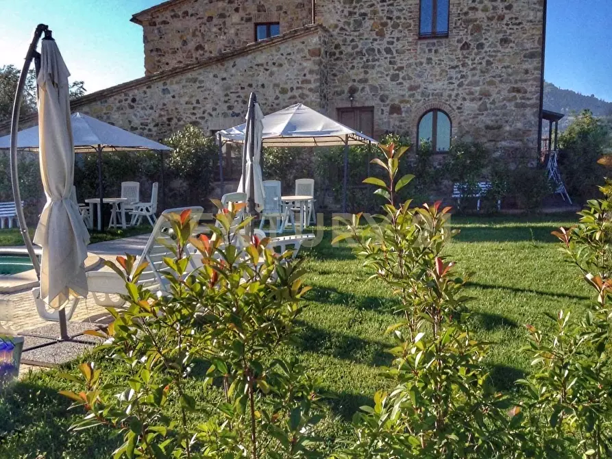 Immagine 24 di Rustico / casale in vendita  in podere collodi snc a Montalcino