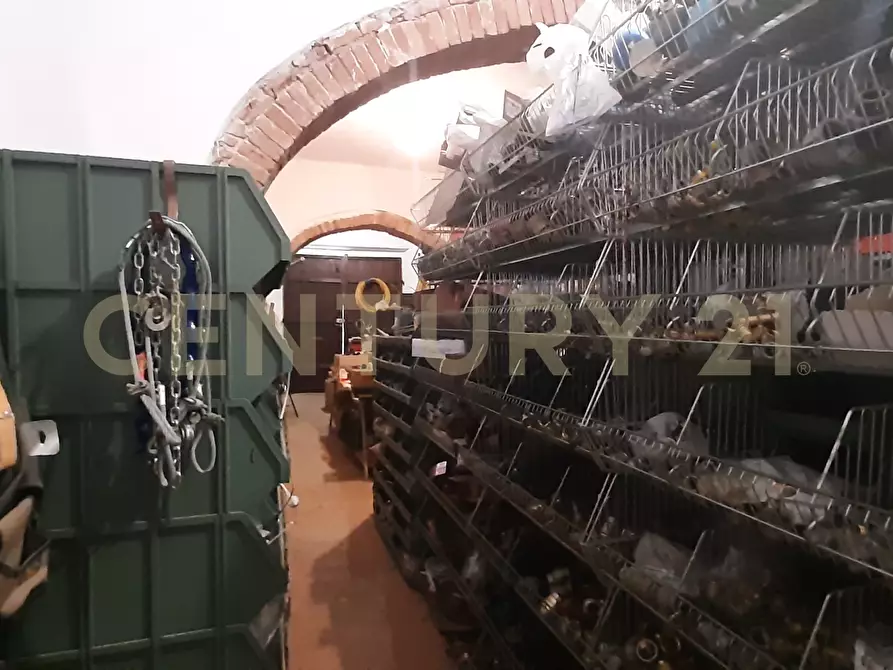 Immagine 28 di Rustico / casale in vendita  in località fercole snc a Civitella Paganico