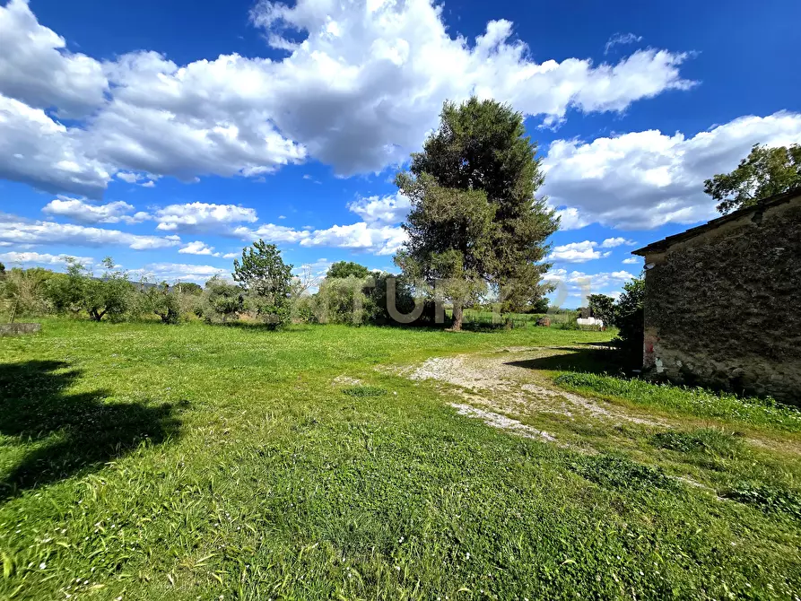 Immagine 8 di Casa indipendente in vendita  in Località Vaticino 11 a Castiglione Della Pescaia