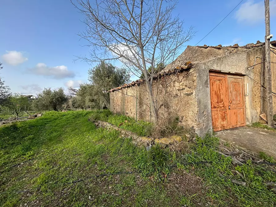 Immagine 8 di Terreno agricolo in vendita  in Via Giovanni Verga 1/A a Misterbianco