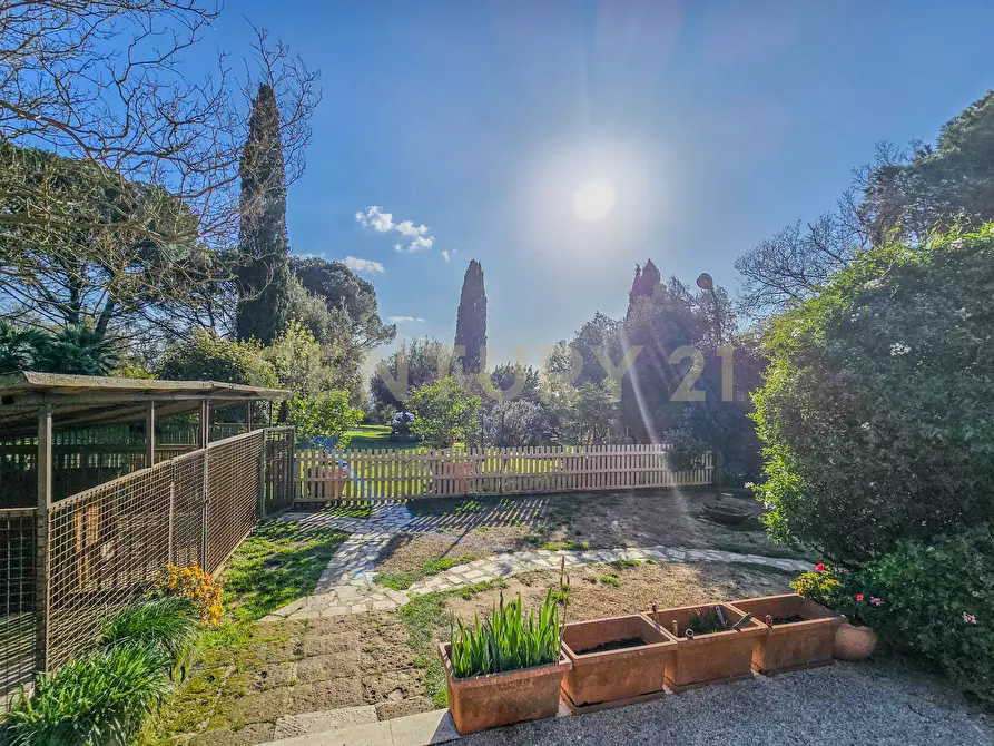 Immagine 9 di Villa in vendita  in Località Poggio Murella 68 a Manciano