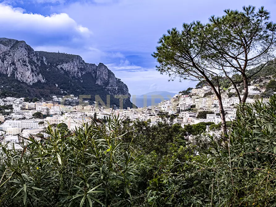 Immagine 7 di Villa in vendita  in Via Tuoro 11 a Capri