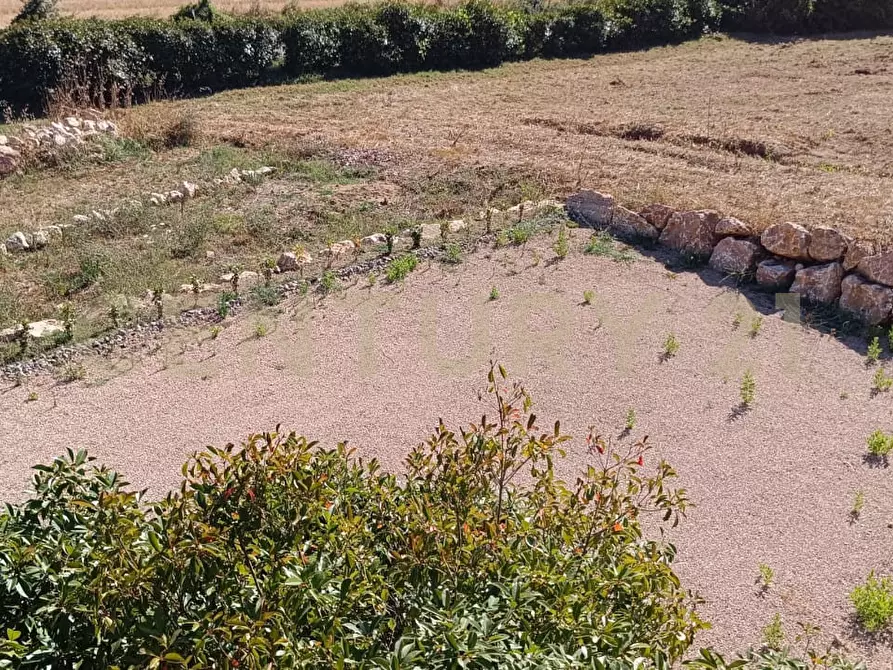 Immagine 39 di Rustico / casale in vendita  a Manciano