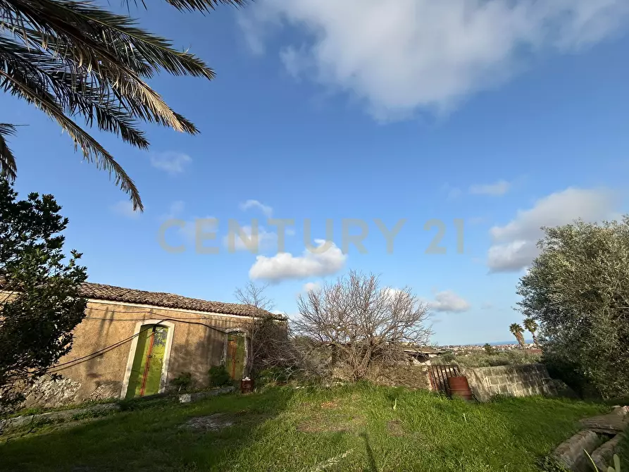 Immagine 7 di Terreno agricolo in vendita  in Via Giovanni Verga 1/A a Misterbianco
