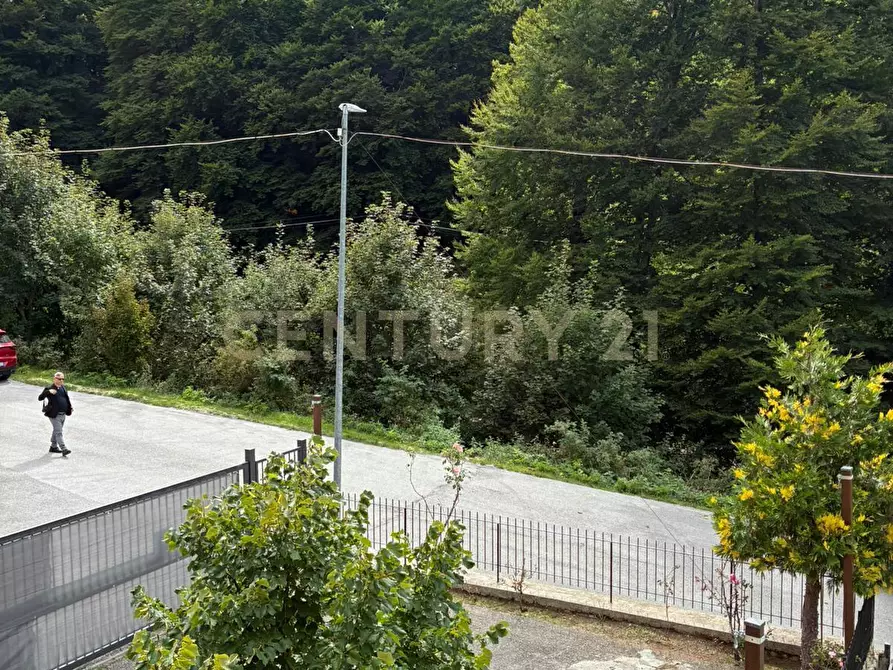 Immagine 3 di Casa indipendente in vendita  in Via morbano a Cappadocia