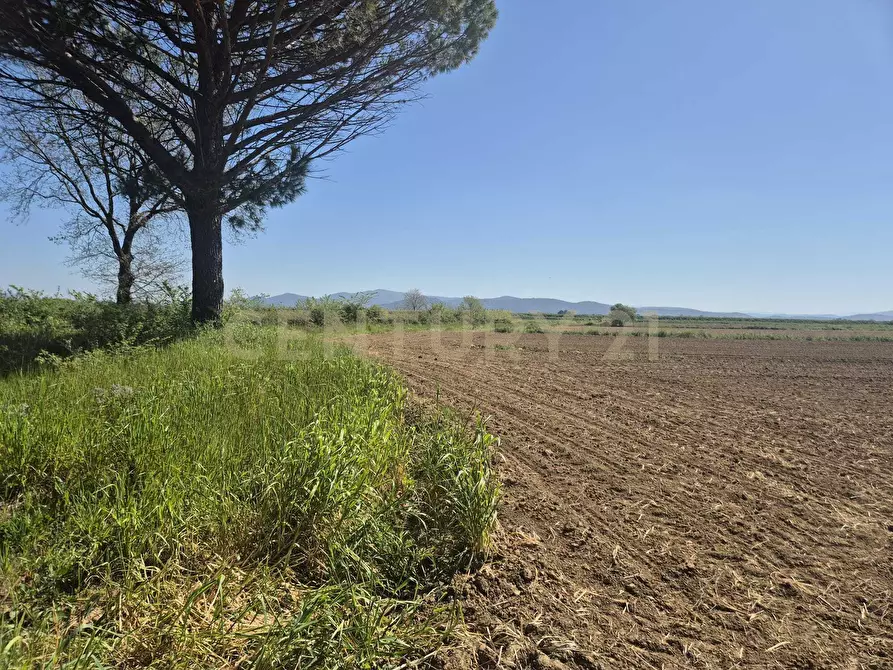 Immagine 1 di Terreno agricolo in vendita  in loc. Badia Vecchia a Castiglione Della Pescaia