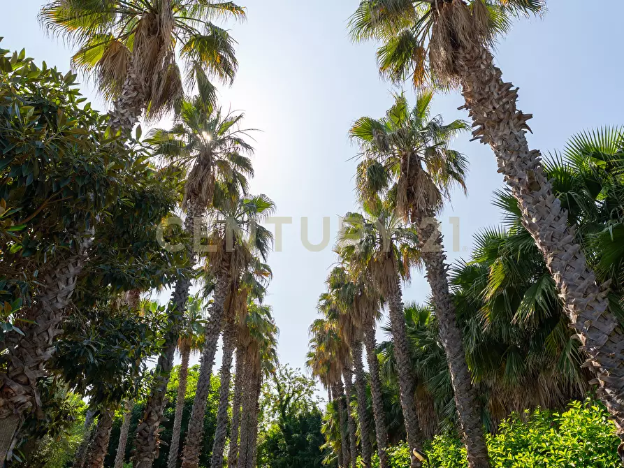 Immagine 3 di Villa in vendita  in Via Timparosa 39 a Aci Castello