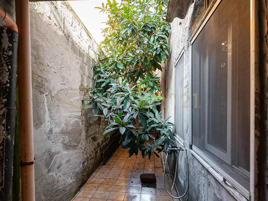 Immagine 27 di Quadrilocale in vendita  in Via P. Gobetti 8 a Adrano