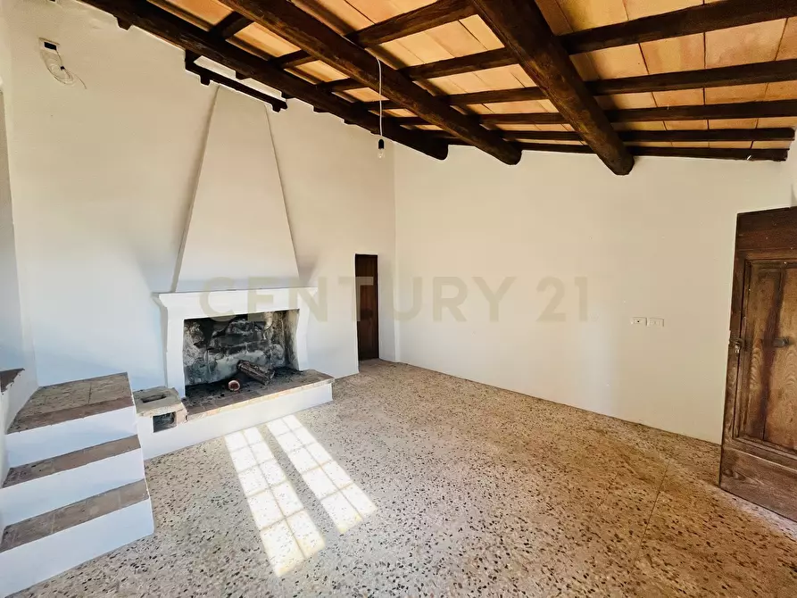 Immagine 4 di Casa bifamiliare in vendita  in località podere pelacane snc a Cinigiano