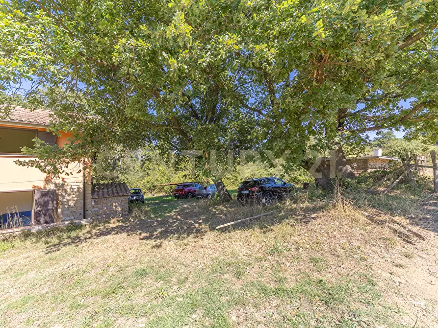 Immagine 31 di Rustico / casale in vendita  in località san quirichello a Barbarano Romano