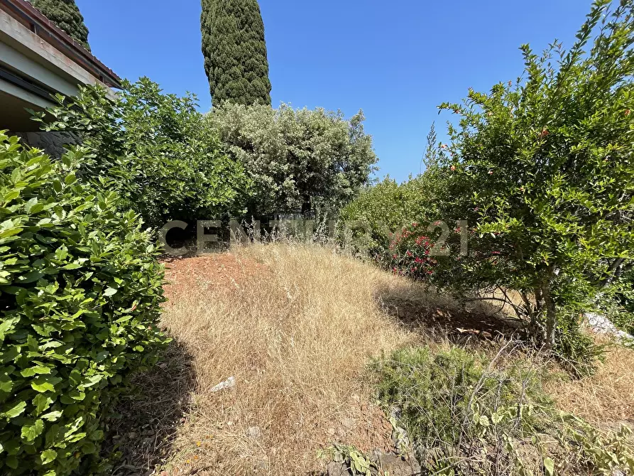 Immagine 18 di Rustico / casale in vendita  in località cannatelli snc a Monte Argentario