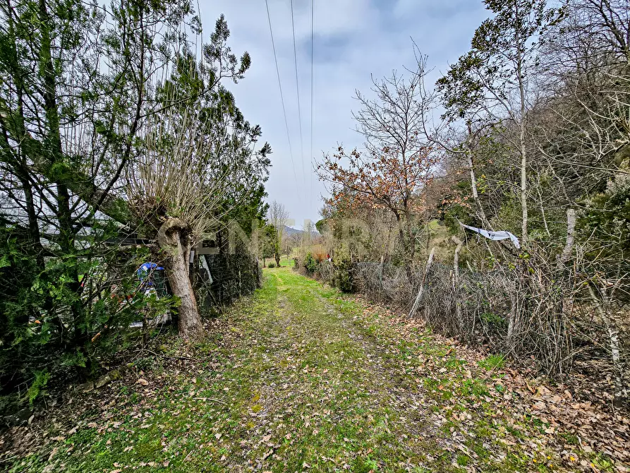 Immagine 27 di Rustico / casale in vendita  in Località Camaiano snc a Roccastrada