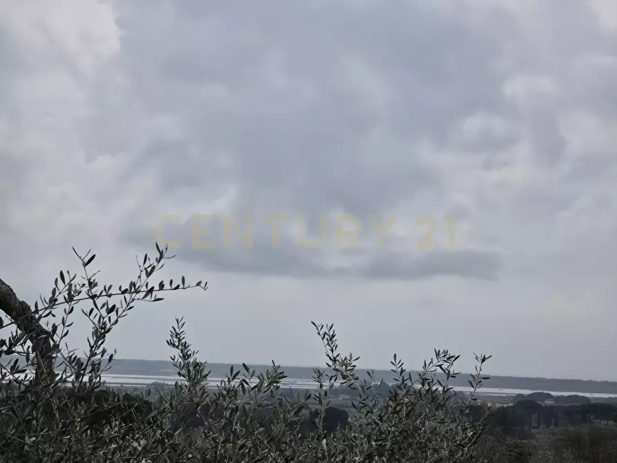 Immagine 34 di Casa trifamiliare in vendita  in Via della Vigna a Castiglione Della Pescaia