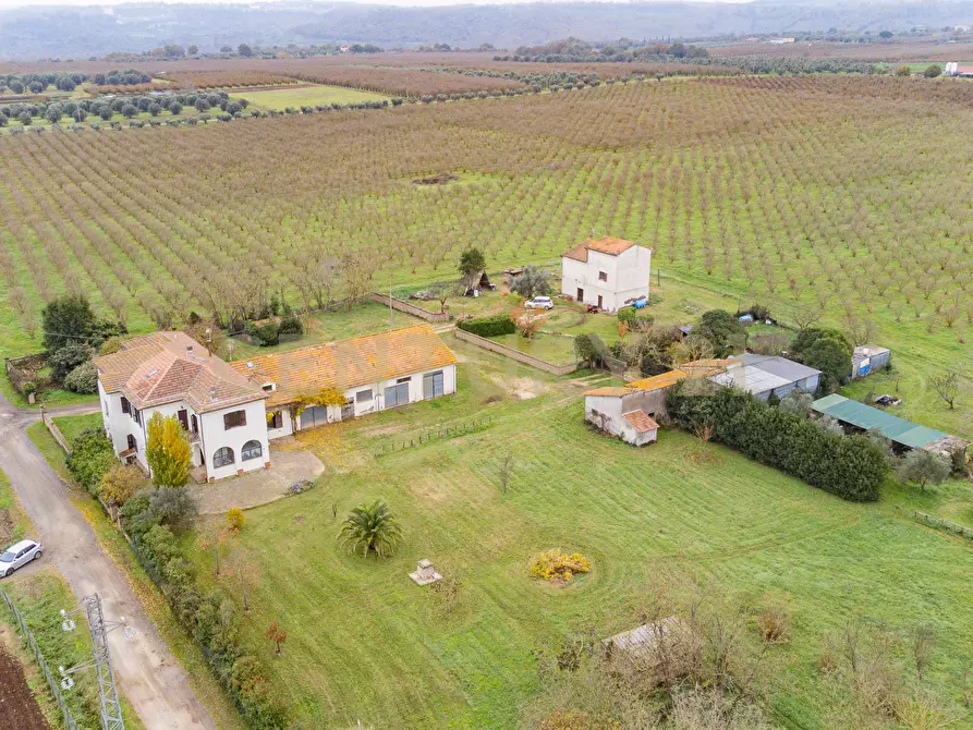 Immagine 27 di Rustico / casale in vendita  in Strada Provinciale Sipiccianese a Bomarzo