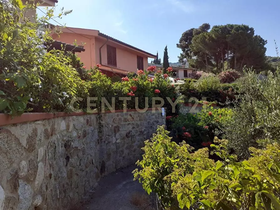 Immagine 19 di Quadrilocale in vendita  in Via dell'Arenella a Isola Del Giglio