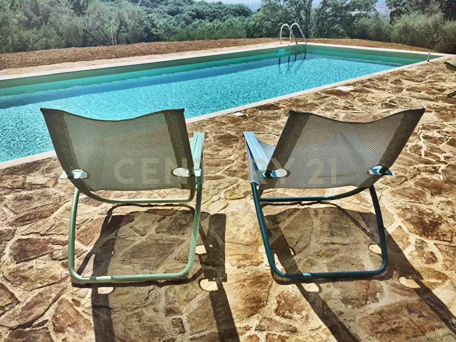 Immagine 24 di Rustico / casale in vendita  in località podere bizzarri a Scarlino