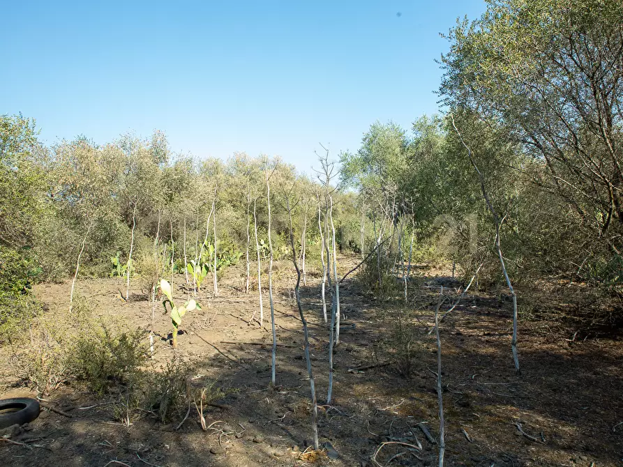 Immagine 17 di Terreno edificabile in vendita  in CONTRA FURERIA snc a Belpasso