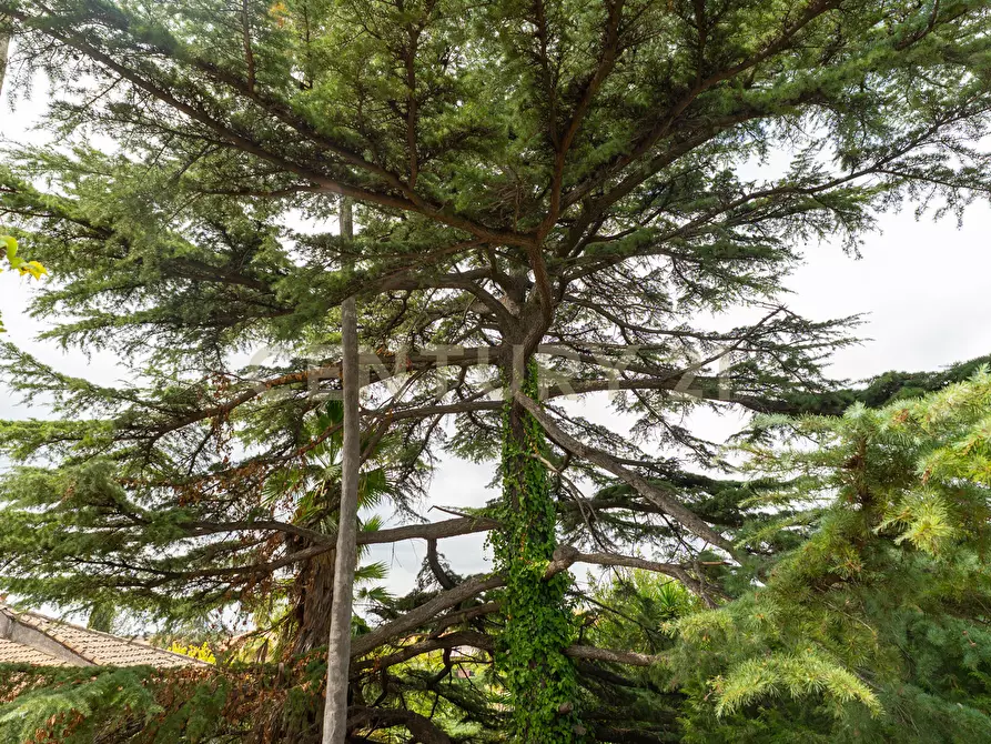 Immagine 64 di Villa in vendita  in Via Pulei 25 a Mascalucia