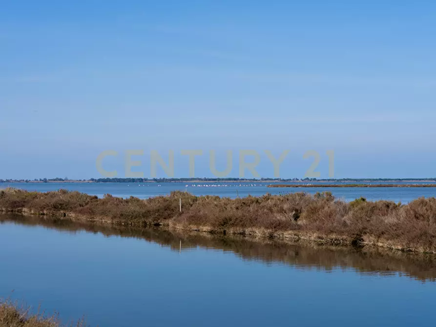 Immagine 22 di Quadrilocale in vendita  in Via Giovanni Falcone a Orbetello