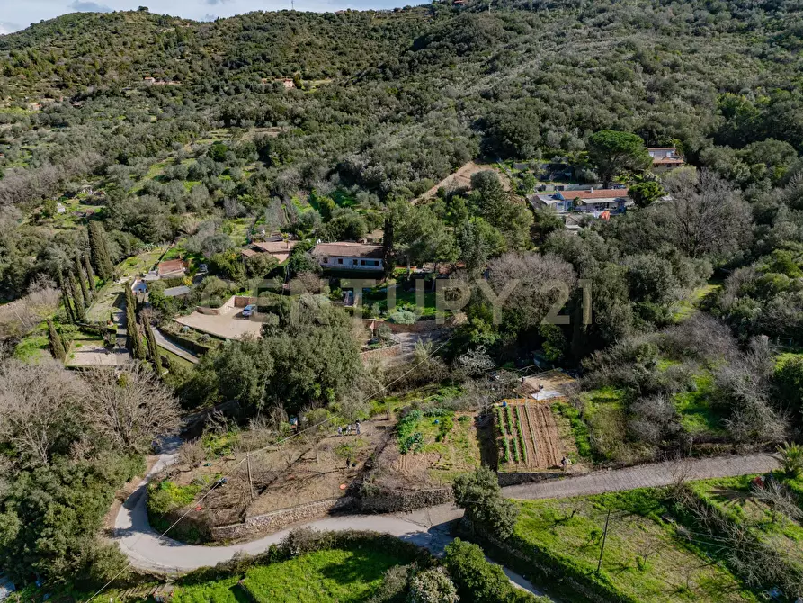 Immagine 10 di Rustico / casale in vendita  in Via del Campone 124 a Monte Argentario