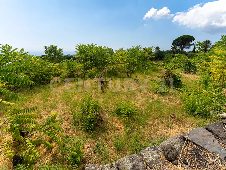 Immagine 10 di Villa in vendita  in Via Grazia Deledda 28 a Santa Venerina