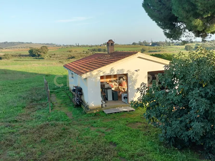 Immagine 5 di Casa bifamiliare in vendita  in Strada Cava del Gesso 2 a Capalbio