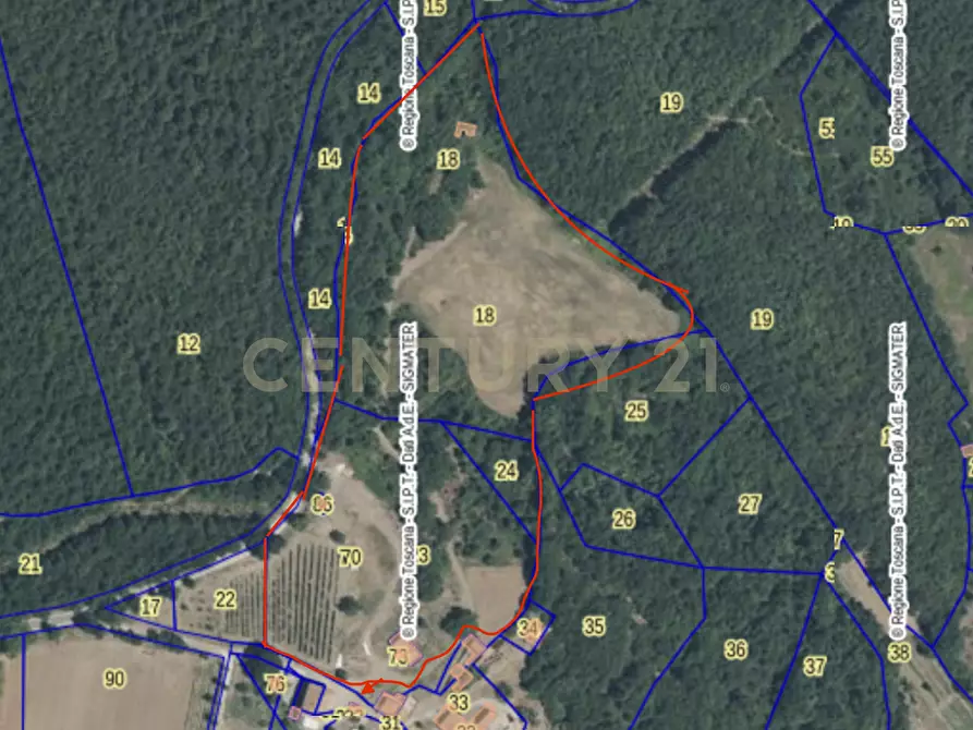 Immagine 24 di Rustico / casale in vendita  in località case cinigliano a Roccastrada