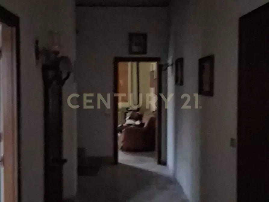 Immagine 19 di Casa indipendente in vendita  in Via Olmo 45 a Gazzo Veronese