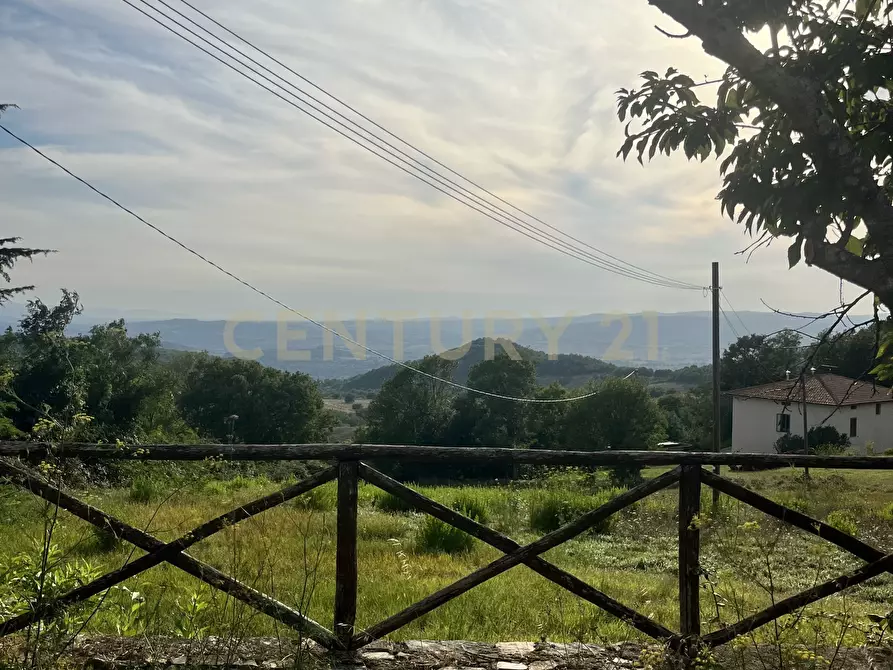 Immagine 33 di Terratetto in vendita  in Via G. Matteotti a Semproniano
