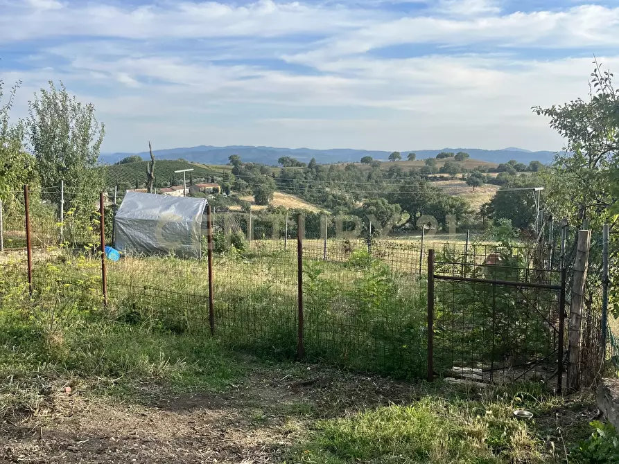 Immagine 23 di Terratetto in vendita  in Via G. Matteotti a Semproniano