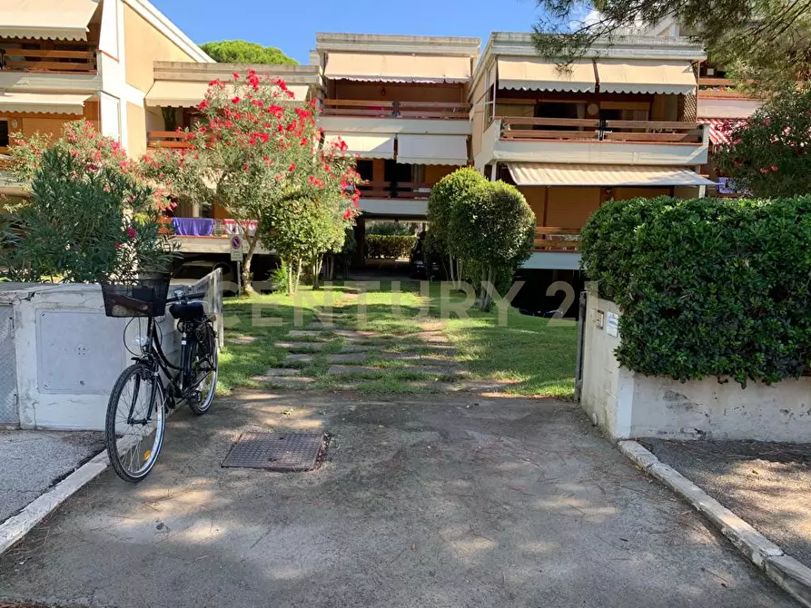 Immagine 7 di Quadrilocale in vendita  a Castiglione Della Pescaia