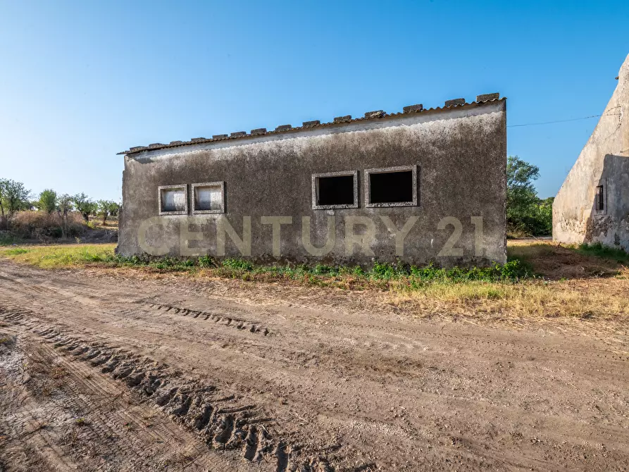 Immagine 13 di Terreno industriale in vendita  in Via per Floridia 11 a Siracusa